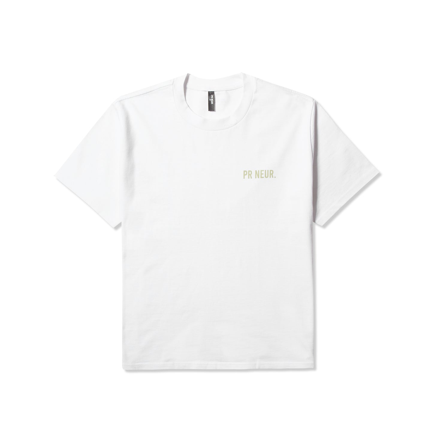 PR NEUR HEAVY OVERSIZE T-SHIRT - WHITE / PISTACHIO